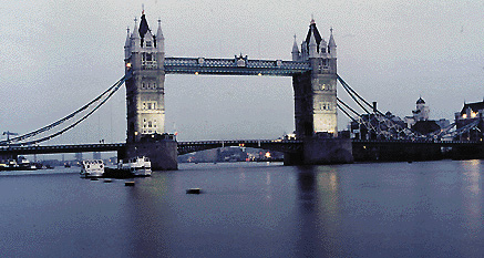 http://www.trapaninfo.it/02_bancadati/pict/g/Geo028.jpg