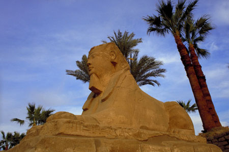 Una delle sfingi fatte collocare da Nectanebo I (XXX dinastia) sul viale da Luxor a Karnak