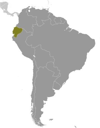 Ecuador in America del Sud