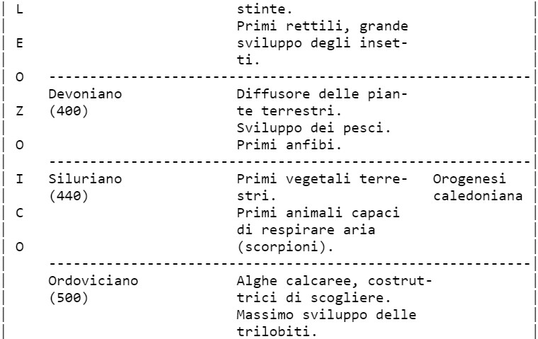 Classificazione degli animali