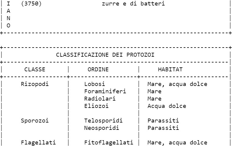 Classificazione degli animali