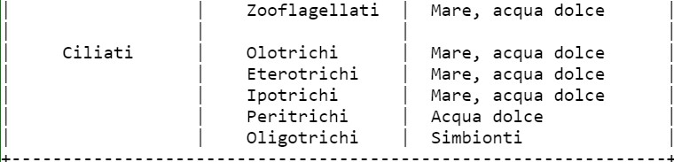 Classificazione degli animali