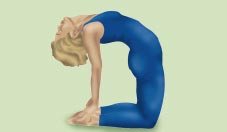 Yoga Cammello
