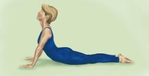 Yoga COBRA