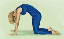 Yoga GATTO