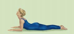 Yoga SFINGE